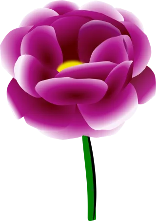 Peony Flower Spring Stickdatei