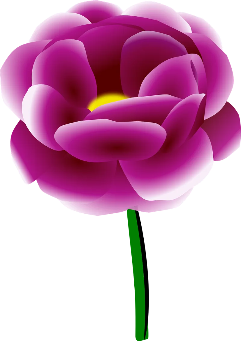 Peony Flower Spring Stickdatei – Blumen