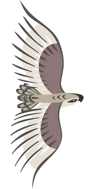Eagle Bird Wings Stickdatei