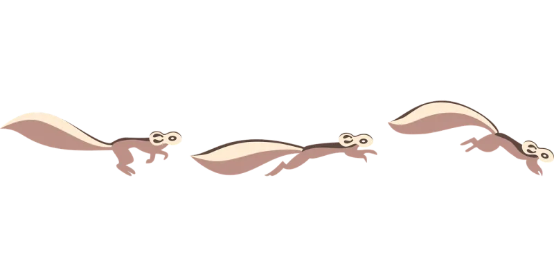 Chipmunk Squirrel Animal Stickdatei – Sport