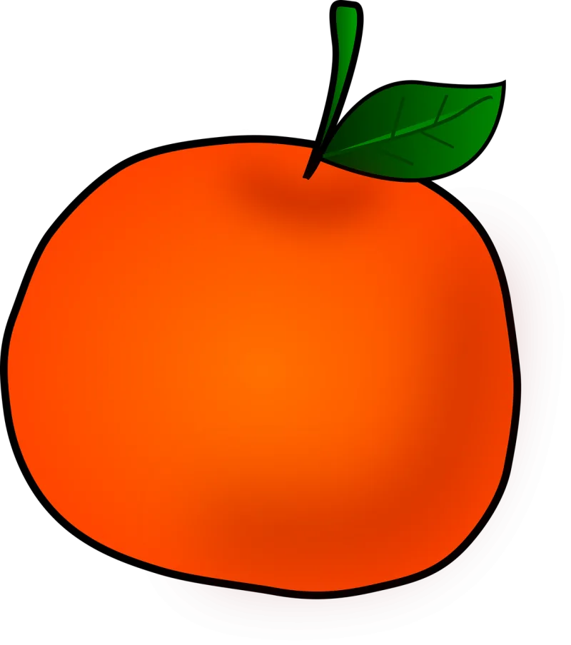 Orange Fruit Citrus fruit Stickdatei – Essen & Trinken