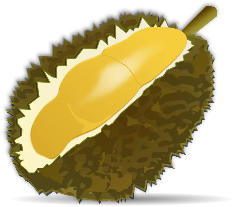 Durian fruit Fruit Food Stickdatei – Essen & Trinken