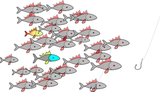 Fishing Fishes Swarm Stickdatei