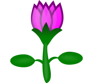 Water lily Flower background Lotus Stickdatei