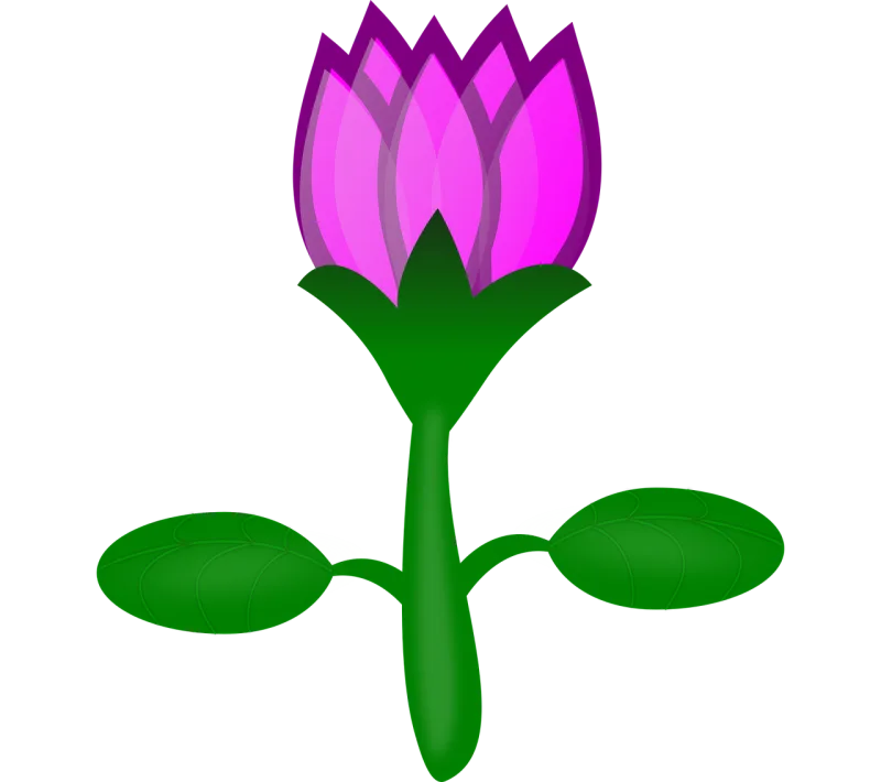 Water lily Flower background Lotus Stickdatei – Blumen