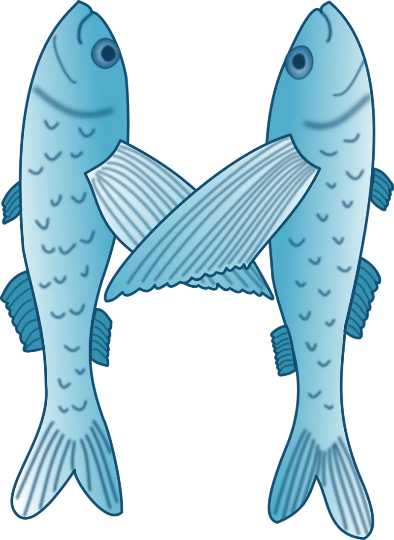 Flying fish Fish Exocoetidae Stickdatei – Tiere