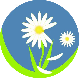 Daisy Blossom Bloom Stickdatei