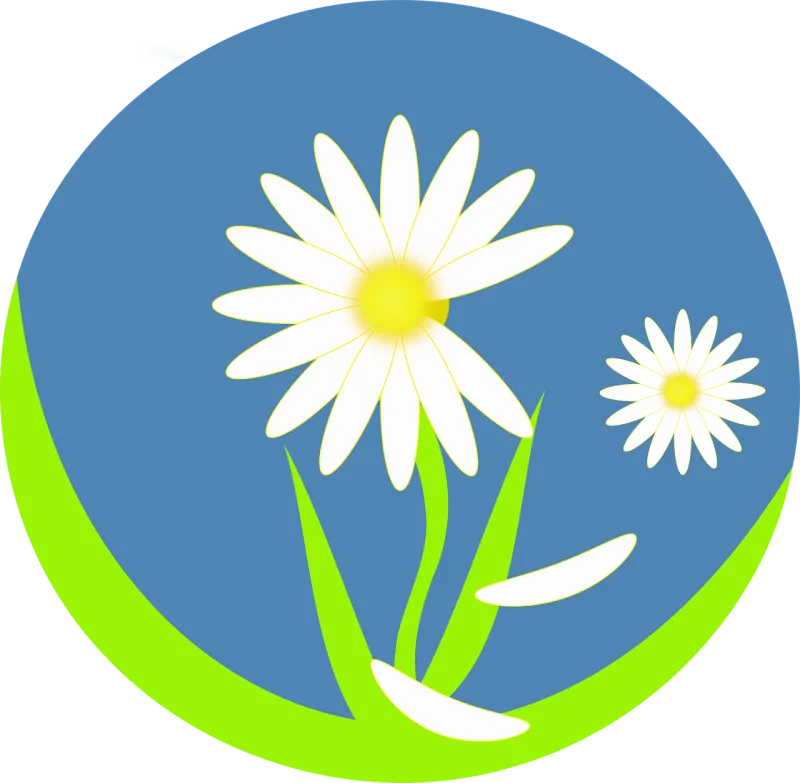 Daisy Blossom Bloom Stickdatei – Blumen