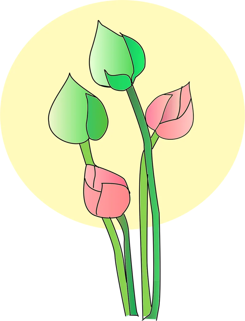 Lotus Flower Bloom Stickdatei – Blumen