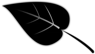 Leaf Plant Silhouette Stickdatei