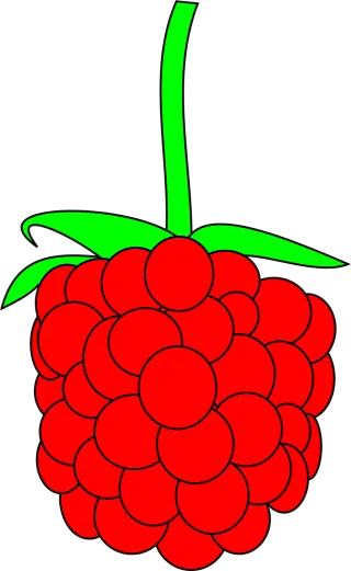 Raspberry Berry Fruit Stickdatei