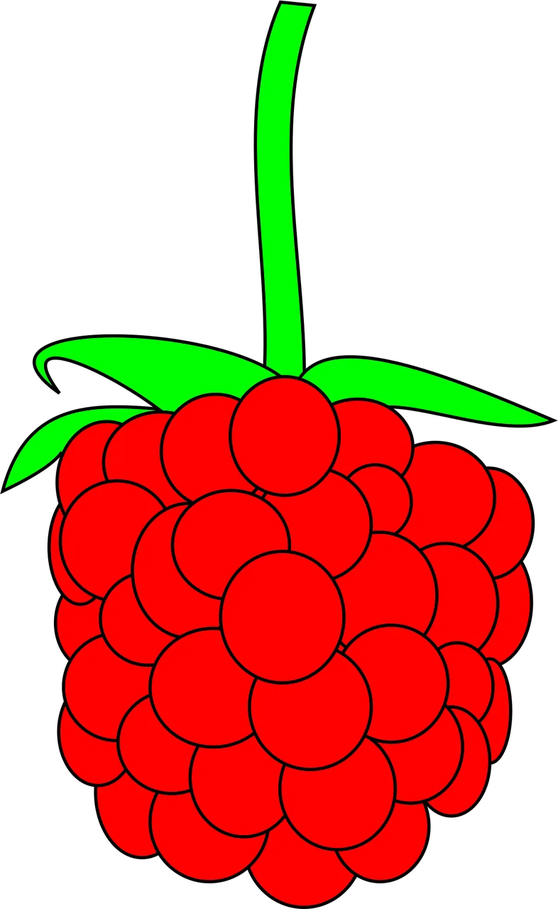 Raspberry Berry Fruit Stickdatei – Essen & Trinken