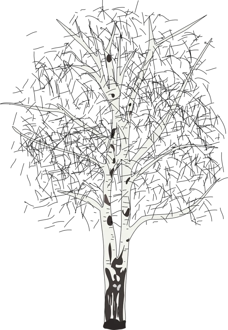 Birch Tree Plant Stickdatei – Natur