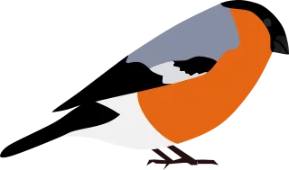 Bullfinch Nature Finch Stickdatei