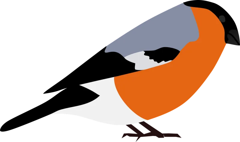 Bullfinch Nature Finch Stickdatei – Tiere