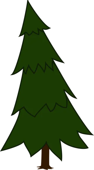 Spruce Fir tree Evergreen Stickdatei