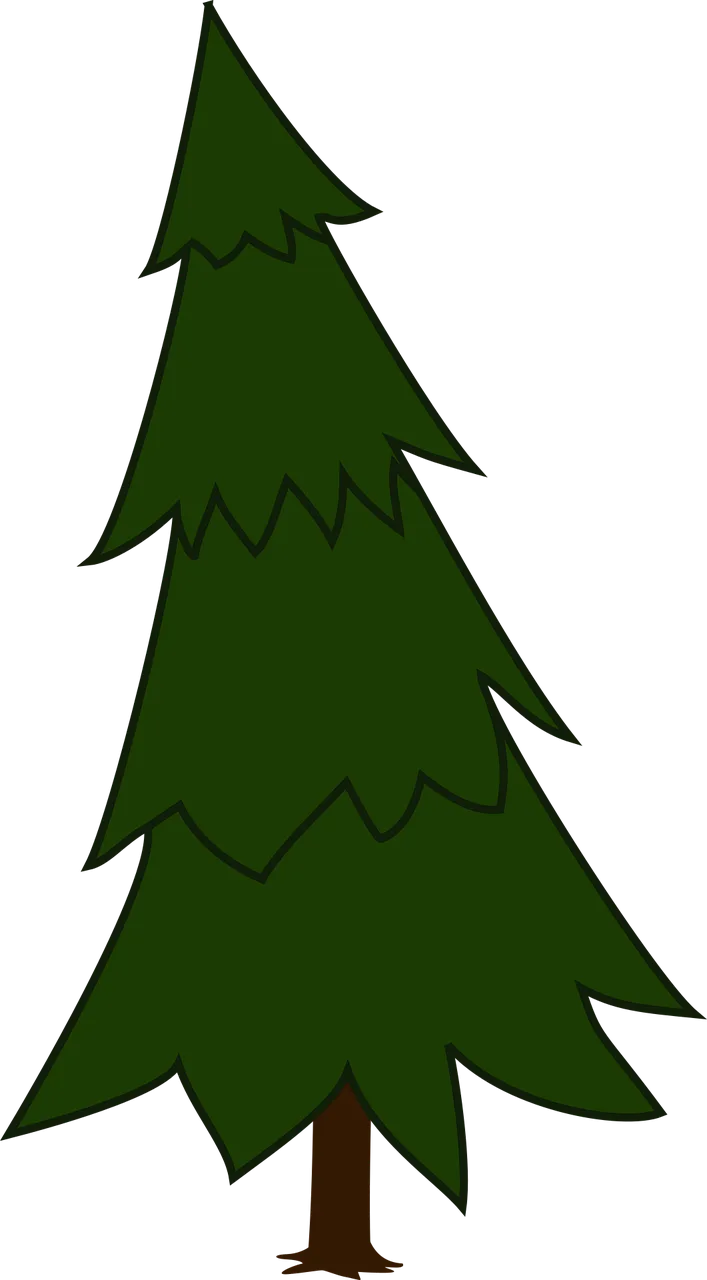 Spruce Fir tree Evergreen Stickdatei – Natur