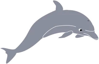 Dolphin Jumping Animal Stickdatei
