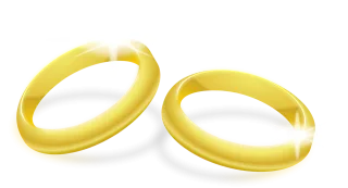 Wedding rings Jewellery Gold Stickdatei