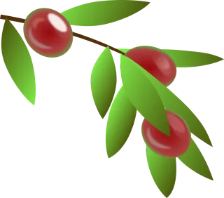 Coffee beans Plant Beans Stickdatei – Essen & Trinken