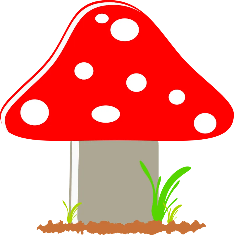 Fly agaric Mushroom Toxic Stickdatei – Natur