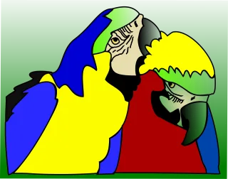 Parrots Birds Tropical Stickdatei