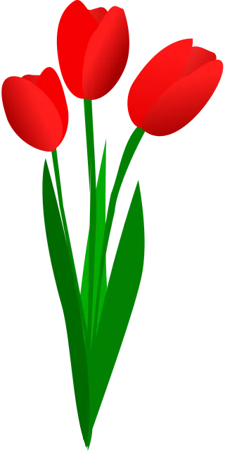 Tulips Beautiful flowers Flower background Stickdatei