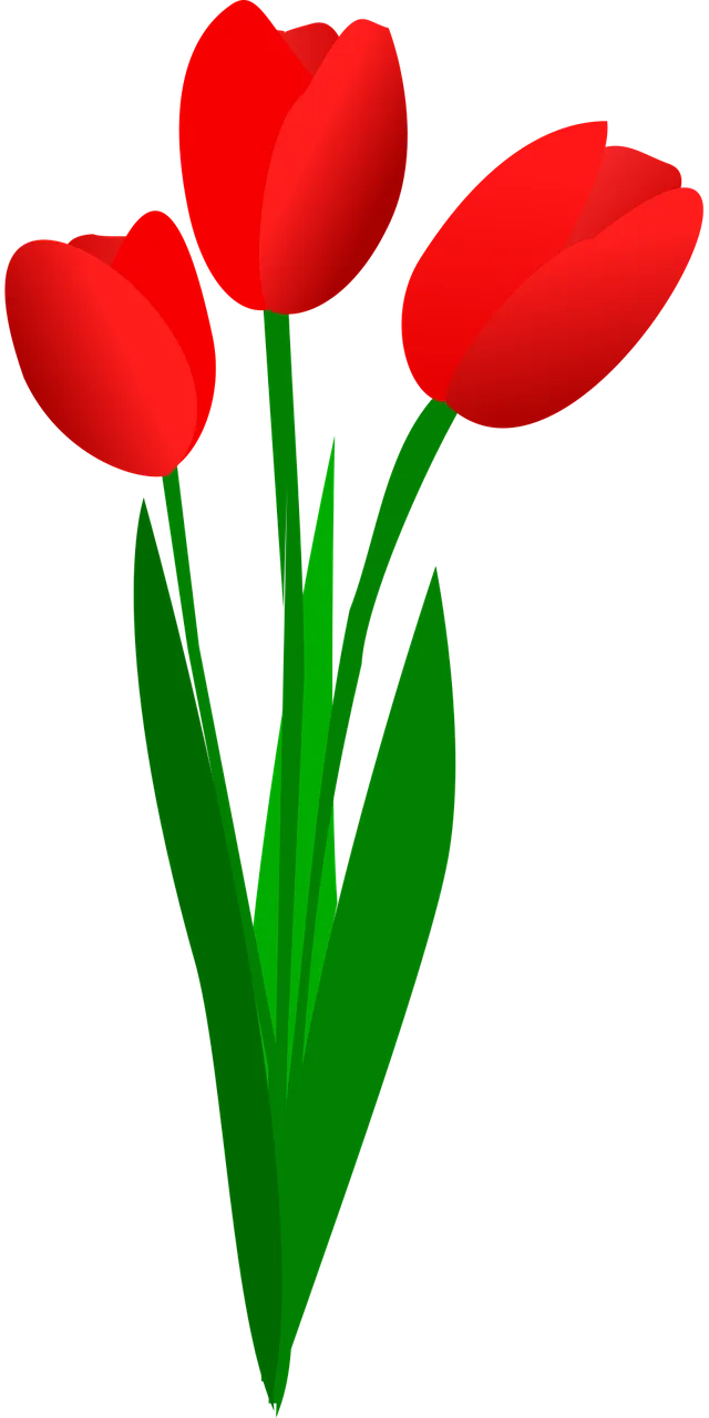 Tulips Beautiful flowers Flower background Stickdatei – Blumen