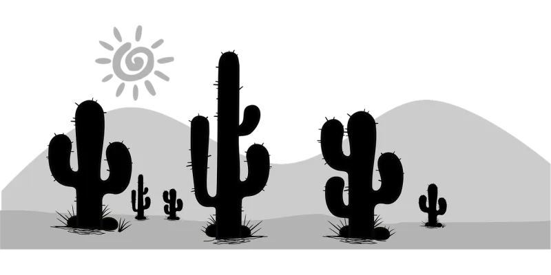 Cacti Desert Death valley Stickdatei – Natur