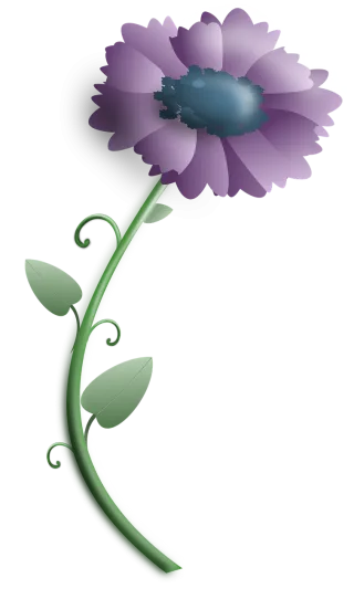 Flower Flower wallpaper Nature Stickdatei