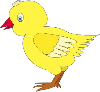 Chicken Poultry Bird Stickdatei