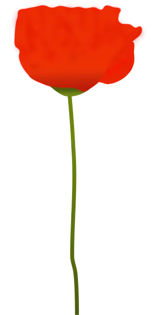 Poppy Flower Red Stickdatei