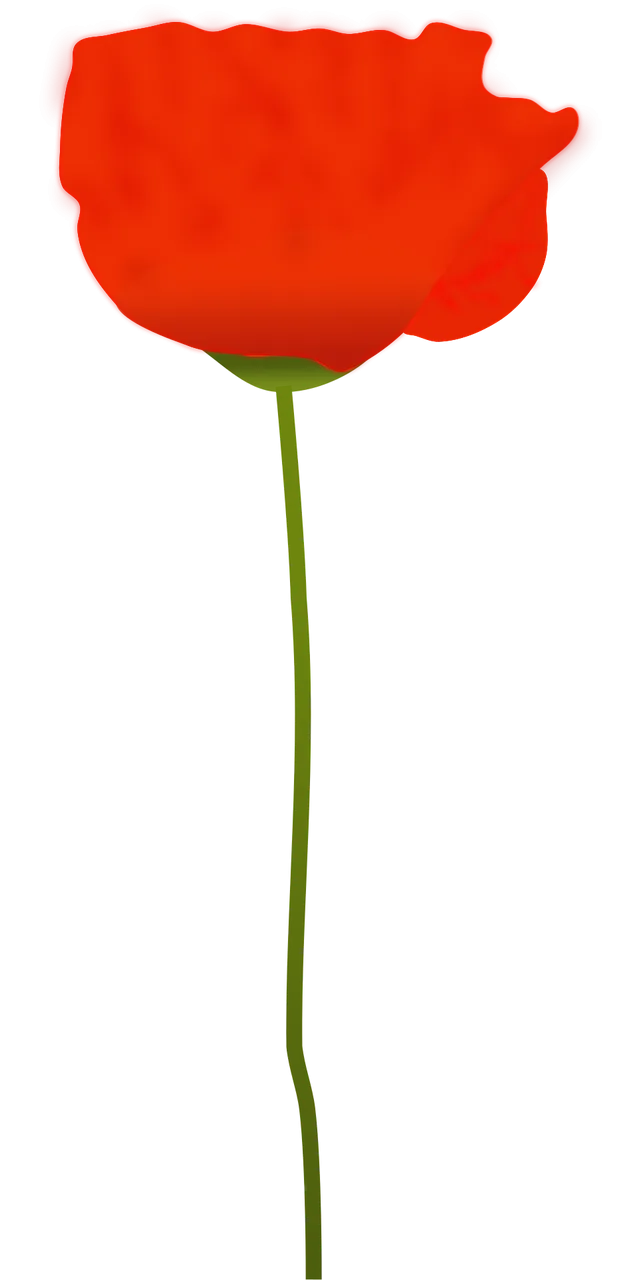 Poppy Flower Red Stickdatei – Blumen