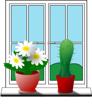 Windowsill Flower wallpaper Flower background Stickdatei