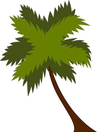 Palm tree Palm Tree Stickdatei