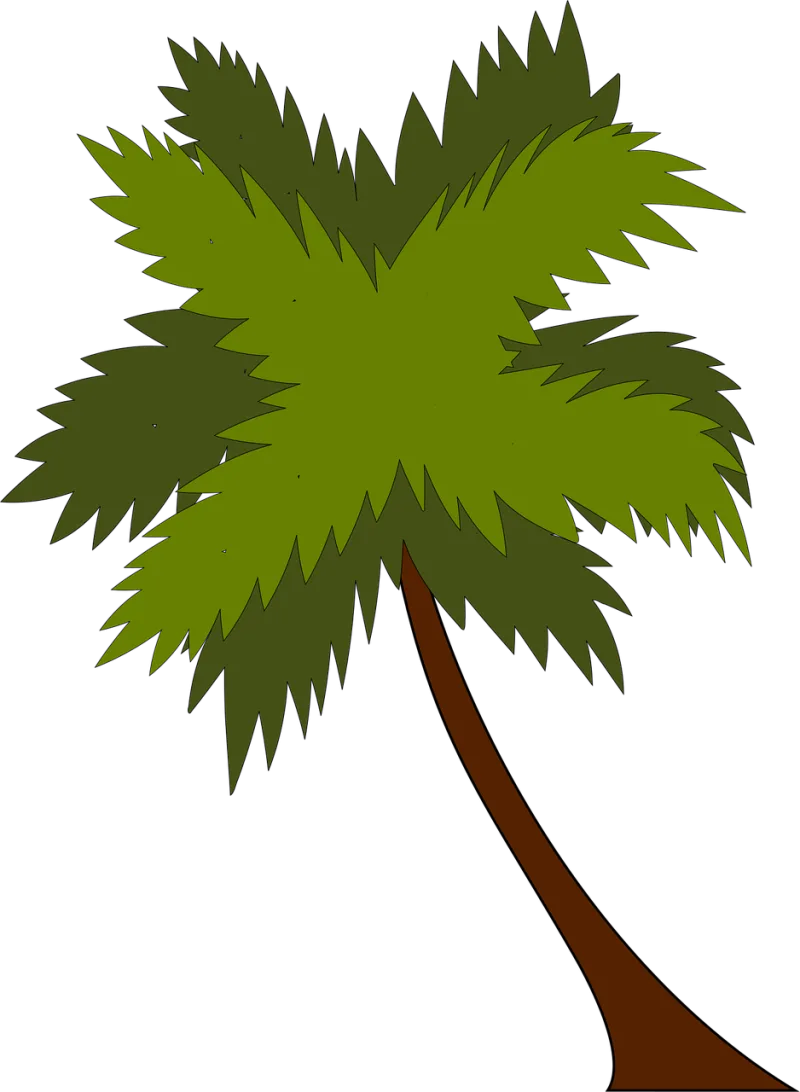 Palm tree Palm Tree Stickdatei – Natur