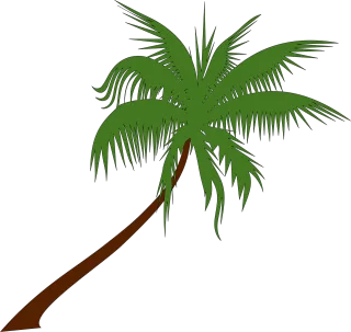 Palm tree Coconut Nature Stickdatei