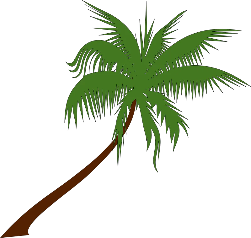 Palm tree Coconut Nature Stickdatei – Natur