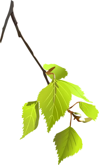 Leaves Branch Plant Stickdatei