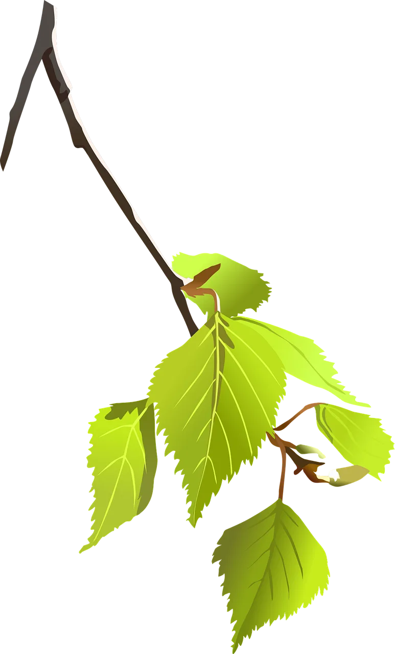 Leaves Branch Plant Stickdatei – Natur