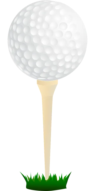 Golf Golfing Ball Stickdatei