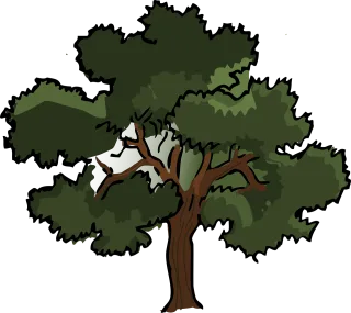 Oak Tree Forest Stickdatei