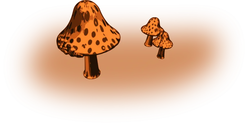 Fungi Fungus Mushrooms Stickdatei – Natur