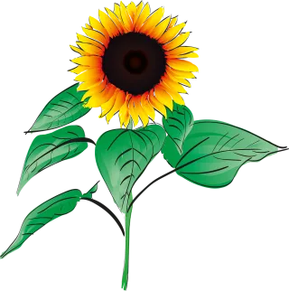Sunflower Summer Plant Stickdatei