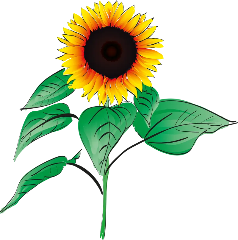Sunflower Summer Plant Stickdatei – Blumen