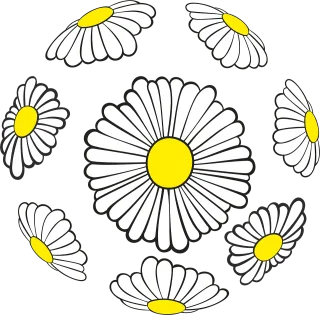 Daisies Beautiful flowers Sphere Stickdatei