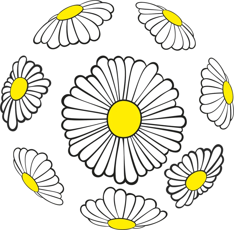 Daisies Beautiful flowers Sphere Stickdatei – Blumen