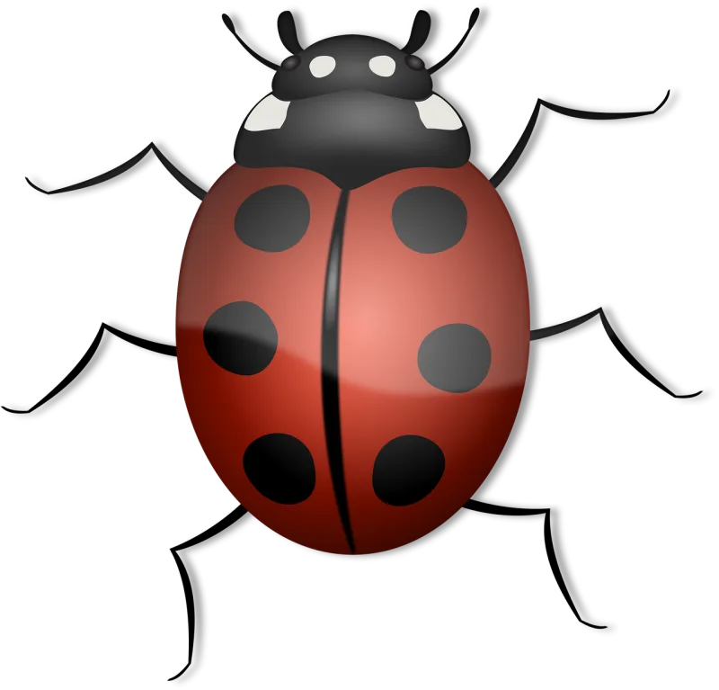 Ladybug Animal Beetle Stickdatei – Tiere