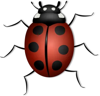 Ladybug Nature Beetle Stickdatei