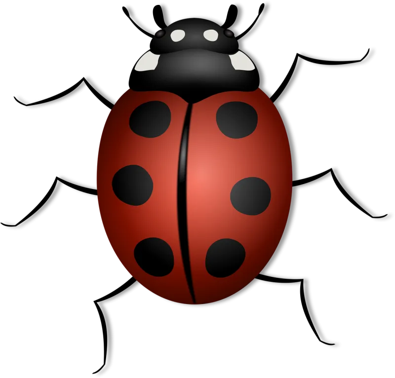 Ladybug Nature Beetle Stickdatei – Tiere